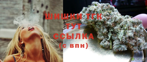 скорость Дубна