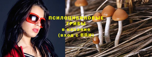 ALPHA PVP Магас