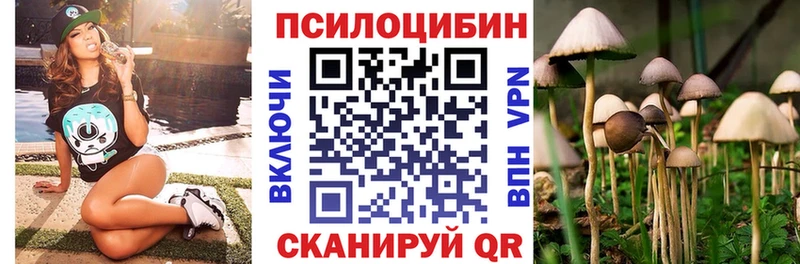 Галлюциногенные грибы GOLDEN TEACHER  Кизилюрт 