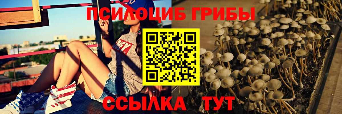 Псилоцибиновые грибы ЛСД Кизилюрт